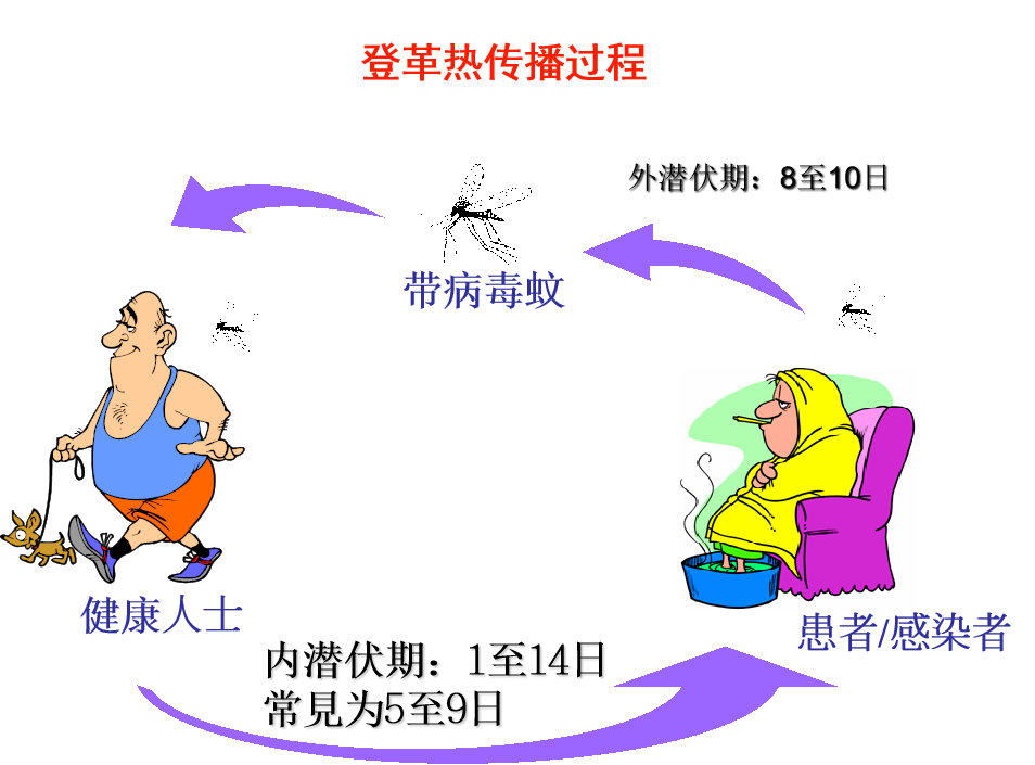 中国疾控中心教你如何防控登革热？