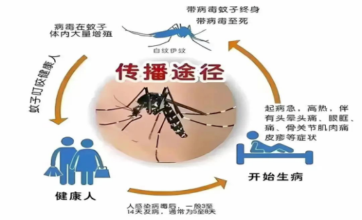 如果得了登革热该怎么治疗？