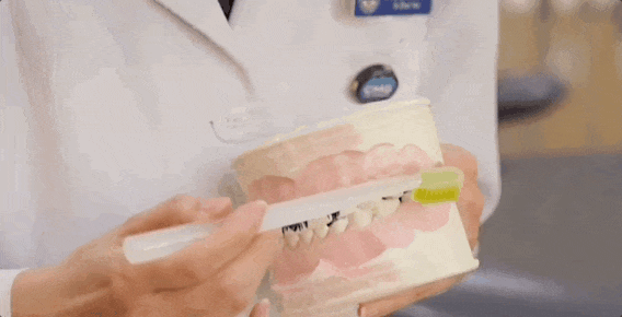 视频演示插图 视频演示插图