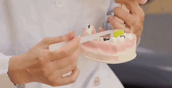 视频演示插图 视频演示插图