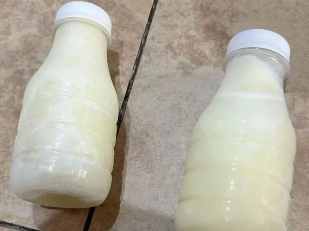 现挤鲜奶或藏致命菌，煮沸能防吗？