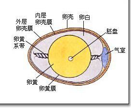 67941726d87fd4eae94d3c220c6194e8.png