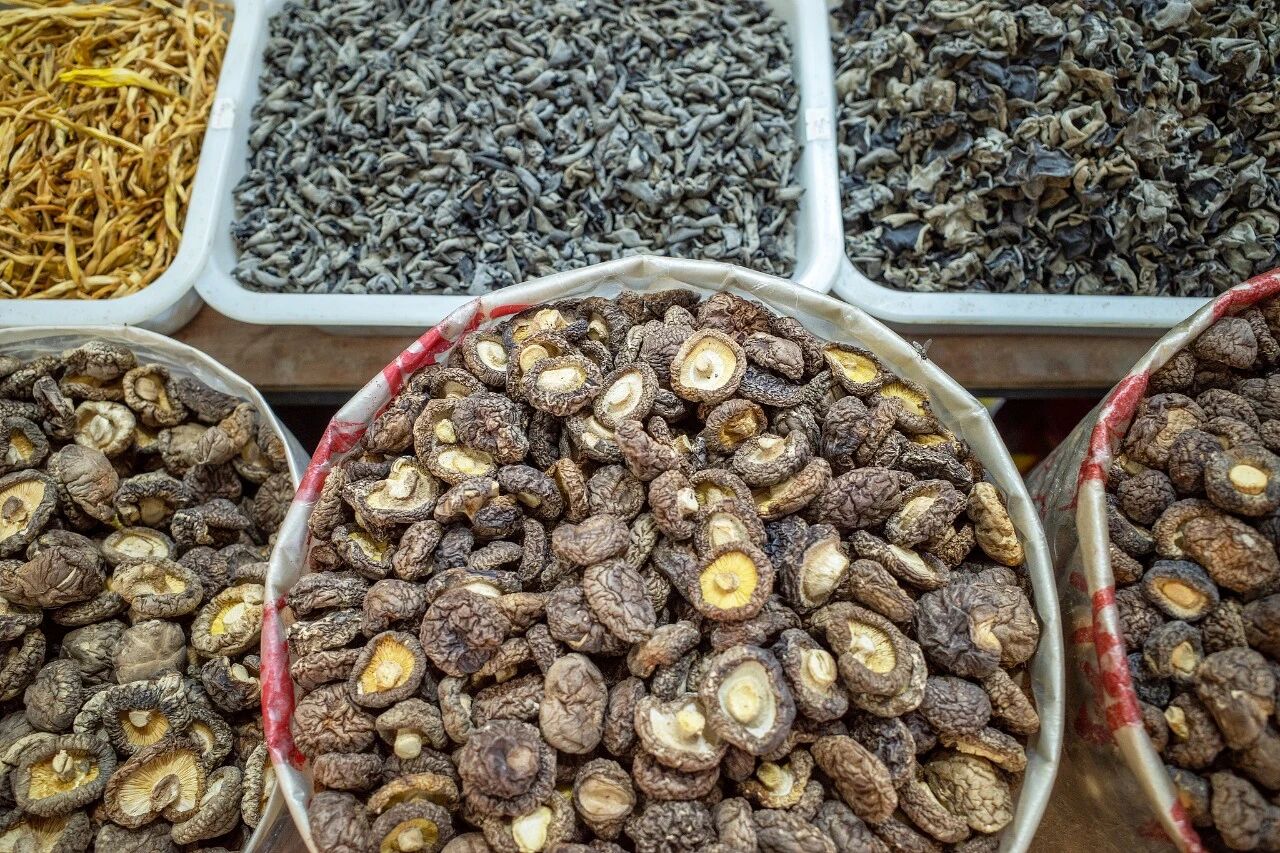 8fd9de42f1aec67441caaa5291daef66.jpg 8fd9de42f1aec67441caaa5291daef66.jpg