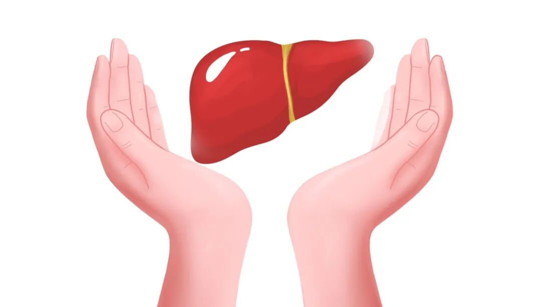 从脂肪肝到心源性猝死到底有多远？