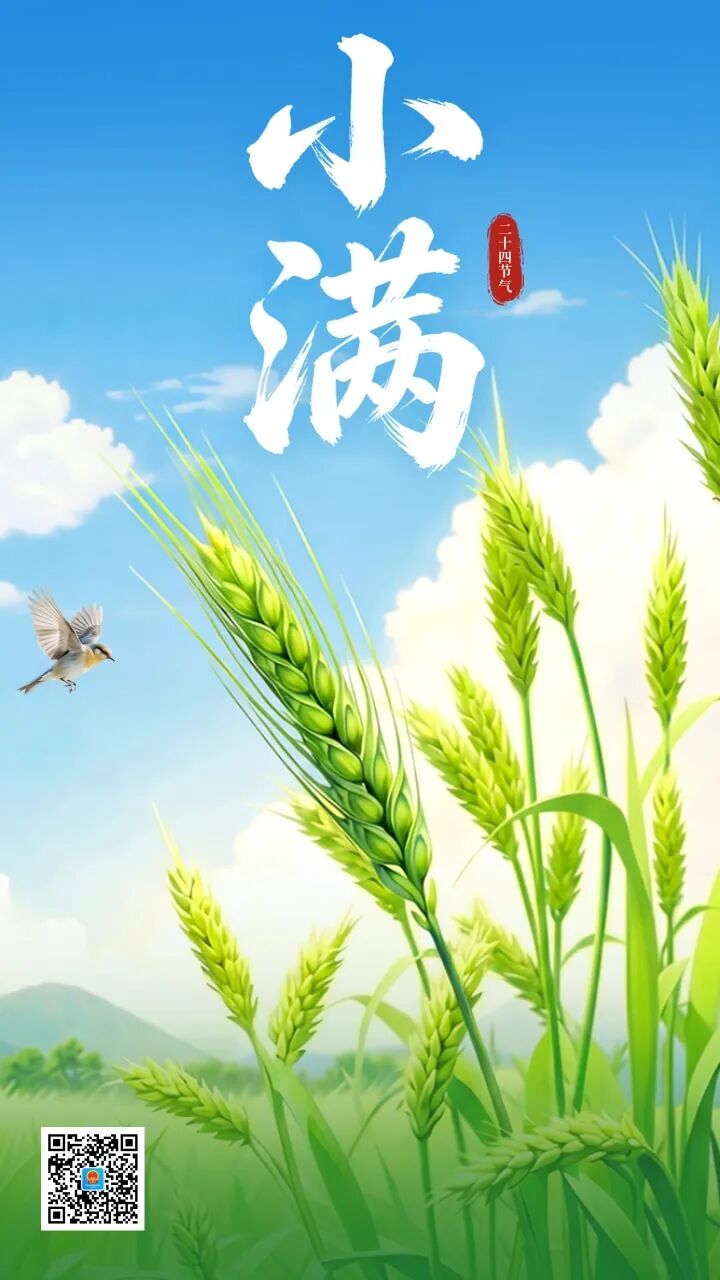 今日小满，小得盈满