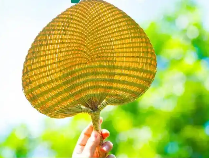 一年中最热的时候来了！大暑时节推荐这样吃→