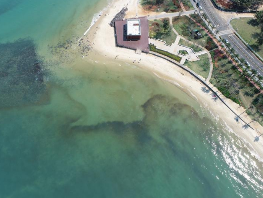 赤潮期间能吃海鲜吗？能下海游泳吗？何时消散？专家回应来了→