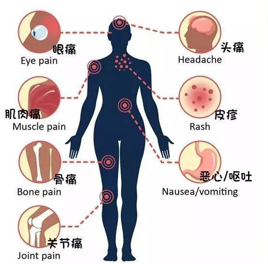 东南亚、南美、南亚归来，警惕“两热”偷袭！