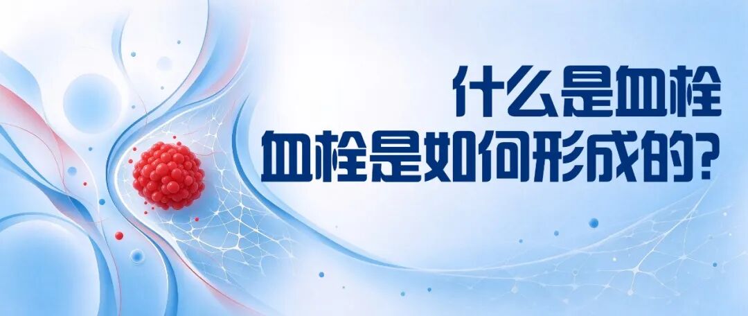 “动”起来，“栓”不住 | 世界血栓日