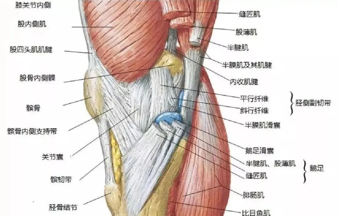 走路时膝盖突然“软”一下，别以为是累了，或许是这些疾病的信号！